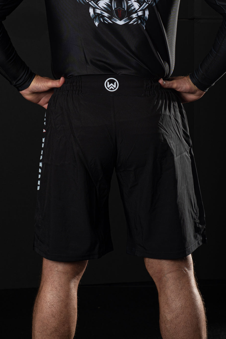 Lion of Judah Grappling Shorts – Move Boldly. Fight Silently.